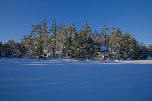 Top 10 Winter Hikes & Snowshoe Trails For Photography in Muskoka (Ontario)