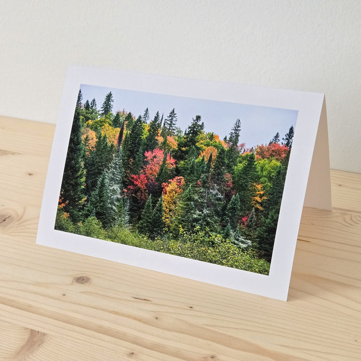 Algonquin Fall Colours - Greeting Card