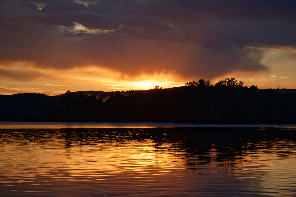 Oxtongue Lake Morning Rays - Greeting Card